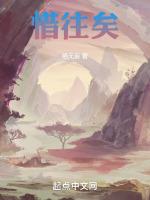 惜往矣