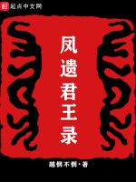 凤遗君王录