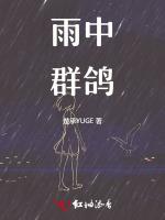 雨中群鸽