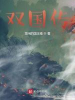 双国传