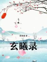 玄曦录