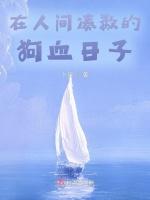 在人间凑数的狗血日子