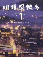 明月照他乡1