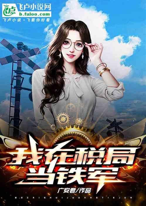 我在税局当铁军