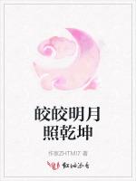 皎皎明月照乾坤
