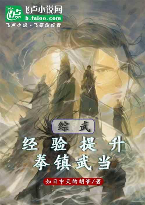综武：经验提升，拳镇武当