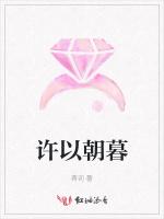许以朝暮