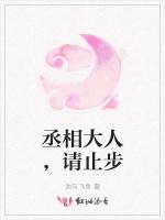 丞相大人，请止步