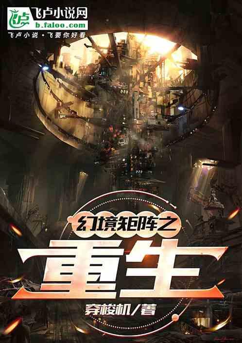 幻境矩阵之重生