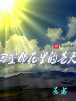回望那花里的苍天