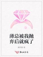 薄总被我抛弃后就疯了