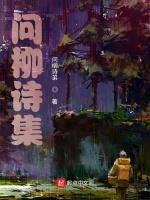 问柳诗集
