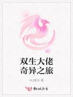 双生大佬奇异之旅