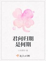 君问归期是何期