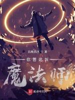 你管这叫魔法师？
